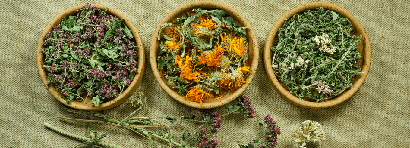 fitoterapia cos'è fitoterapici piante medicinali