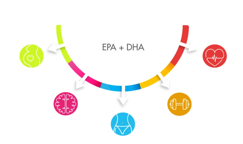 epa e dha cosa sono epa e dha benefici